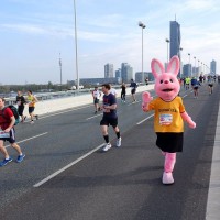 Ergebnisse Vienna City Marathon 2024