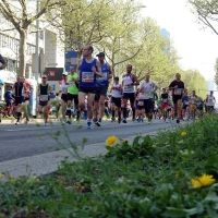 Vienna City Marathon 73 1524387341