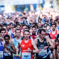Ergebnisse Frankfurt Marathon 2023
