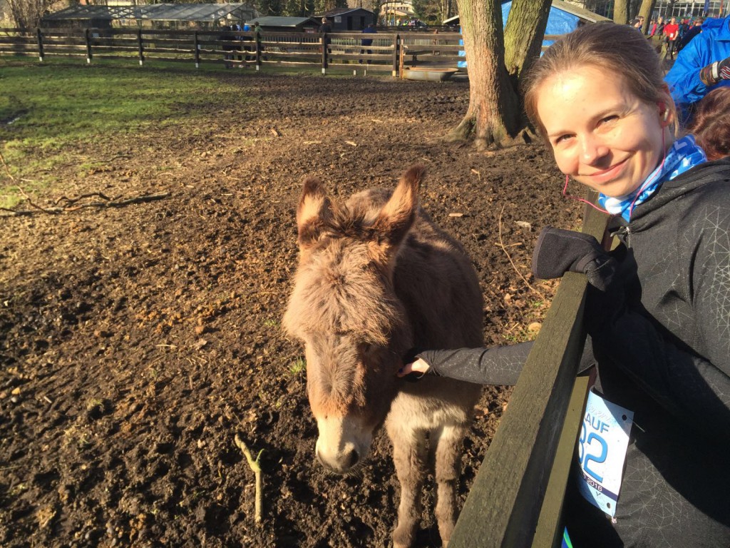 IMG 20160207 WA0008 1024x768