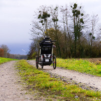 Frankfurt: Neuer Weltrekord mit Babyjogger