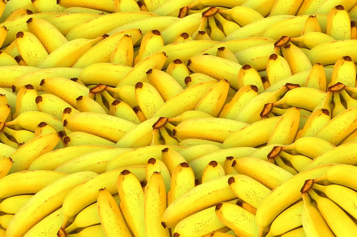 Viele Bananen