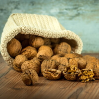 Schützen Nüsse vor Darmkrebs?