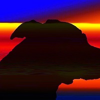 Getötete Läuferin: Geldstrafe statt Haft für Hundebesitzerin