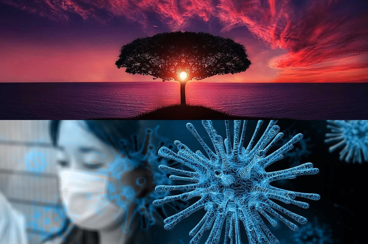 Coronavirus als Retter für unser Klima?