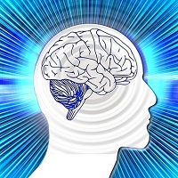 Bei Übergewicht schrumpft Hirn schneller