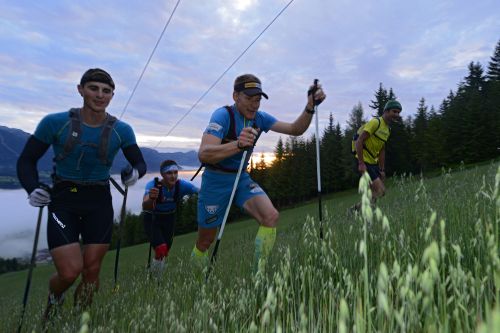 Klaus G&ouml;ssweiner