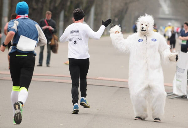 Die Fotos vom 3. Eisbärlauf 2016 sind online