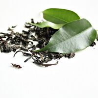 Der Grüntee - eine absolute Gesundheitswaffe!