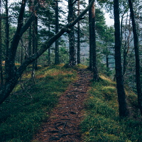 12 Dinge, die du beim Traillauf beachten musst