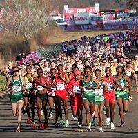 SPAR Grand Prix, 4. Lauf: Sieg an Tadu Nare