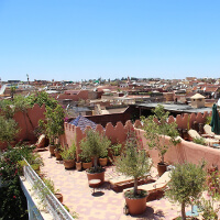 Erster Frauen-Marathon in Saudi-Arabien