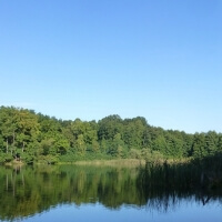 Total krank: Unbekannter platzierte auf Laufstrecke Schraubenfalle!