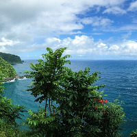 Triathletin läuft Marathon mit gebrochenem Bein