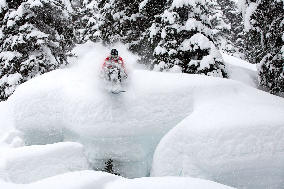  Shades of Winter Filmfest