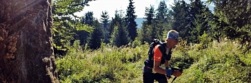 Trailruns in Niederösterreich - Termine