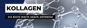 Schützt Kollagen vor Arthrose?