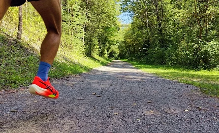 Laufschuhe Asics Metaspeed Sky