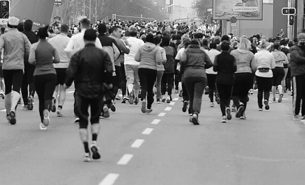 Tb W445 H270 Cut Int 8ebe7f7f498f82b6fef18a45a002390d