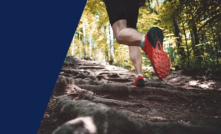 Tb W445 H270 Cut Int A5b7c52d7fd328a03472fab3a063ea21