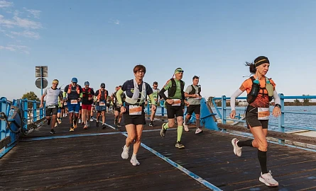 Tb W445 H270 Cut Int C5c8562544788986c9ecd731afd281b0