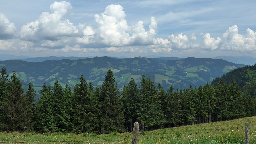 Sommeralm Bergmarathon 68 1596727803