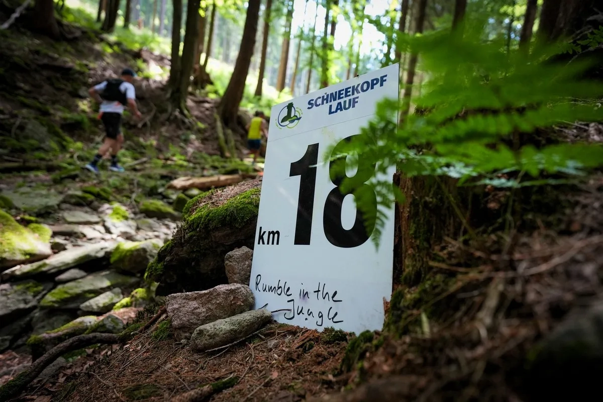 Schneekopflauf Schmiedefeld 2025 am Wilderer Pfad