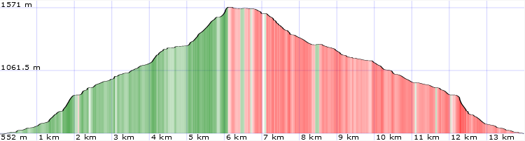 Topo und Höhenprofil Krummbachstein