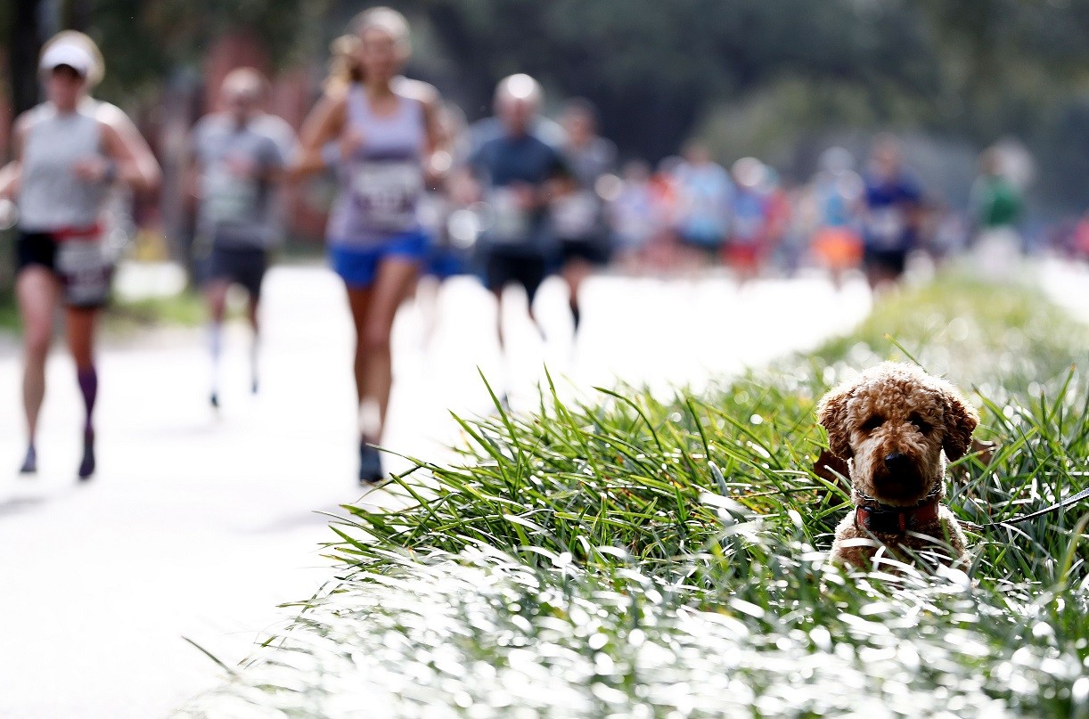 Ergebnisse Rock 'n' Roll Marathon New Orleans 2020
