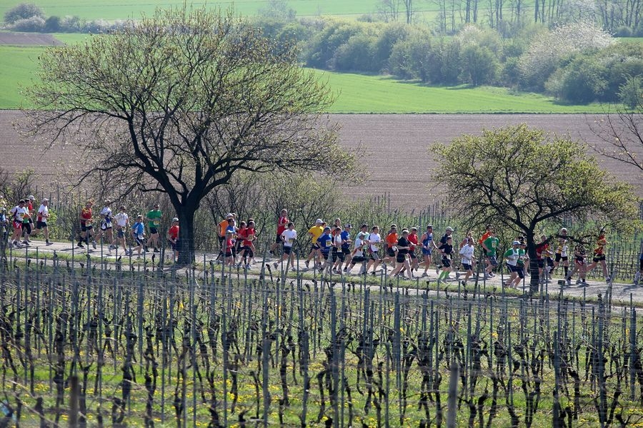 Marathon Deutsche Weinstraße