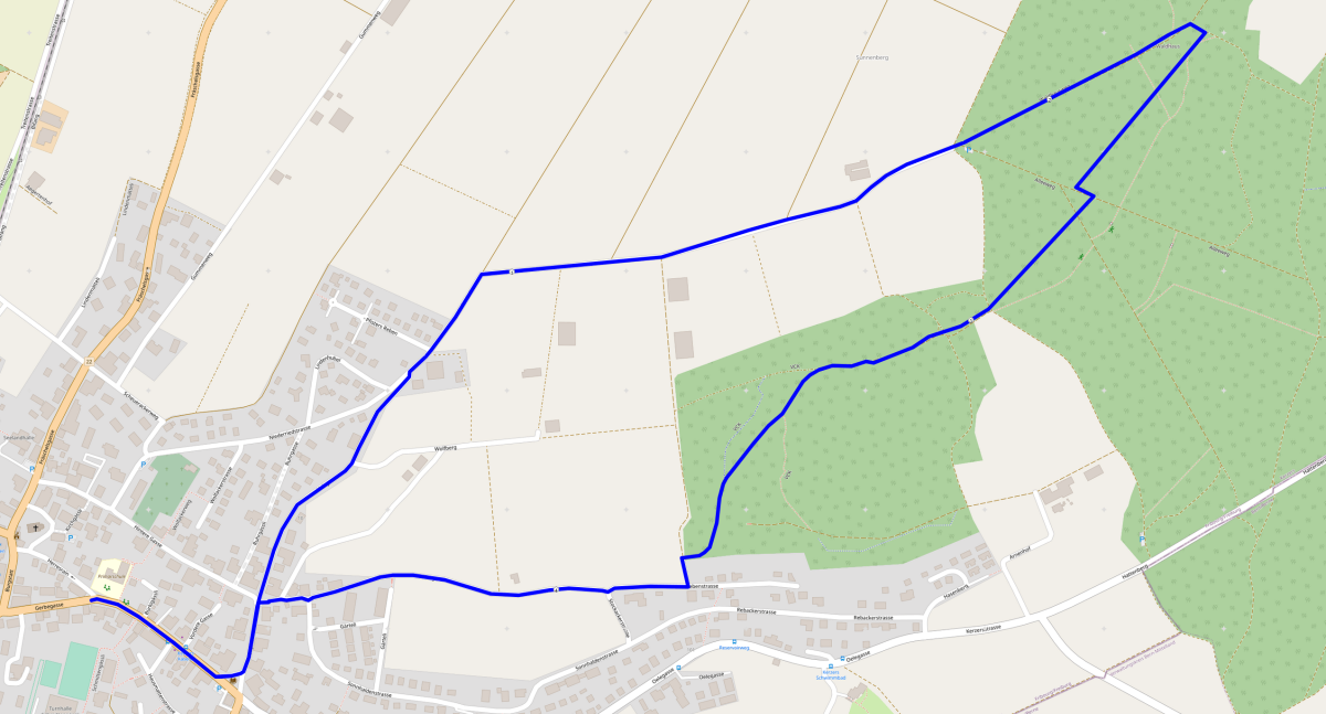 Kerzerslauf 5 km Streckenplan