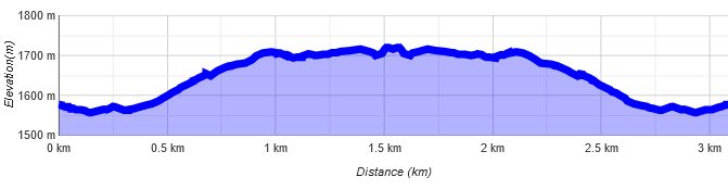 Roque Nublo Höhenprofil