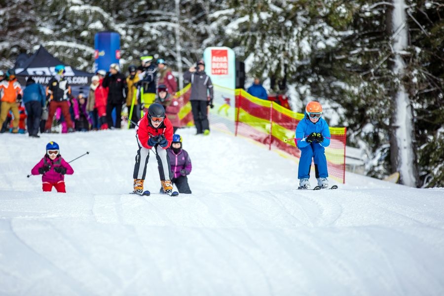 Skifahren, Skiurlaub und Winterurlaub in den Türnitzer Alpen