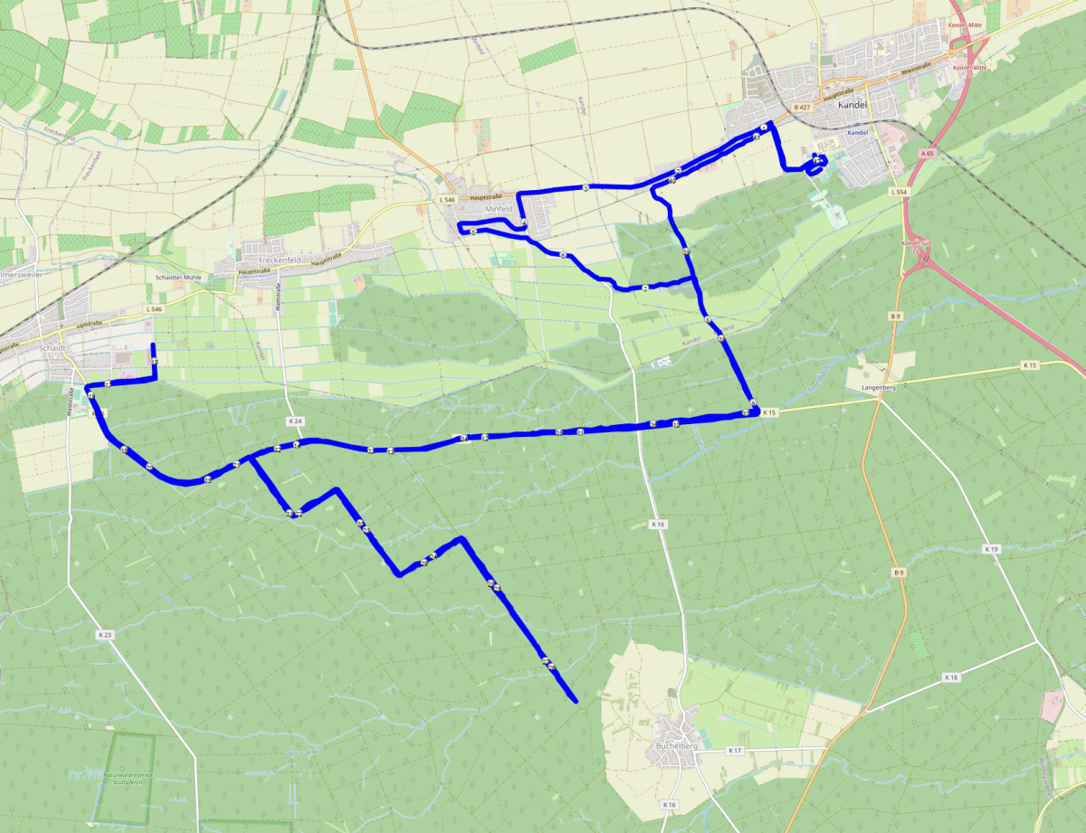 Streckenkarte Bienwald-Marathon