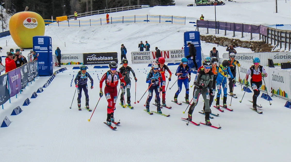 Marmotta Trophy 50 1774107817