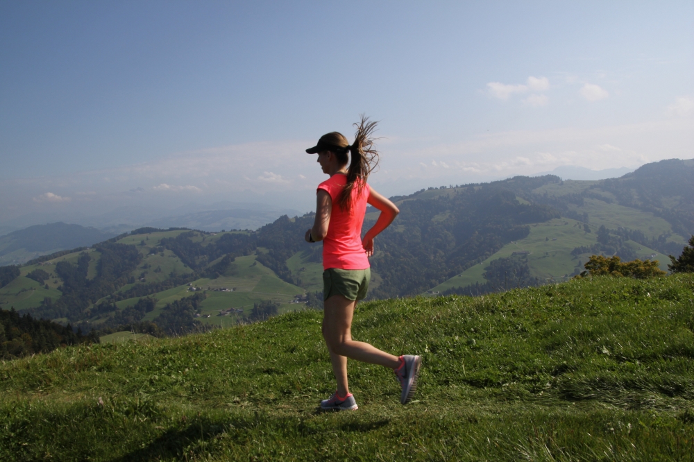 Schnebelhorn Panoramatrail 28 1516636300