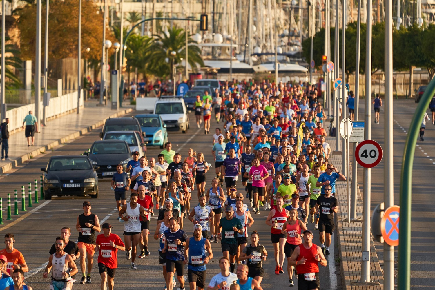 Resultados Palma Marathon Mallorca