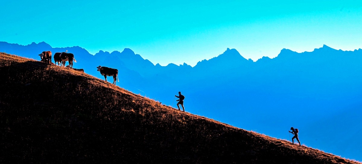 Ergebnisse UTMB 2022