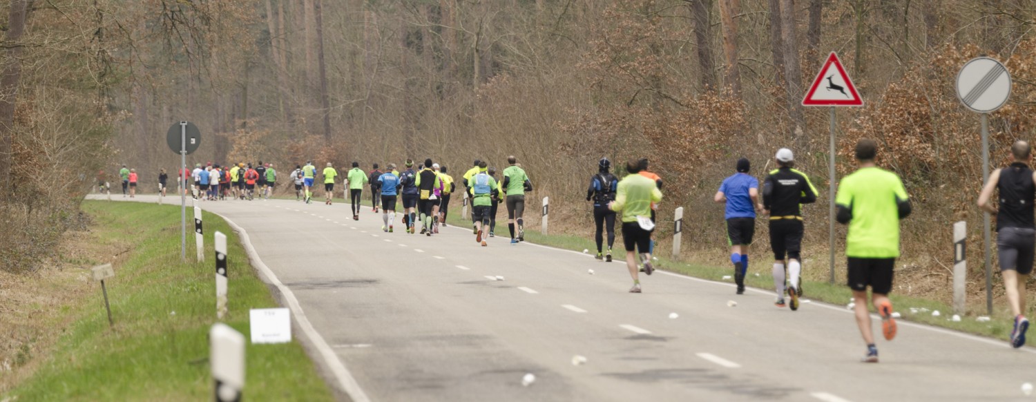 Bienwald-Marathon Kandel 