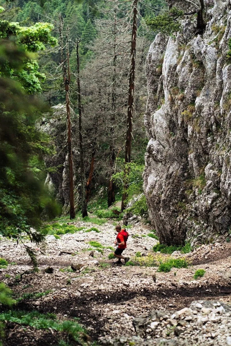 Swiss Canyon Trail 2025