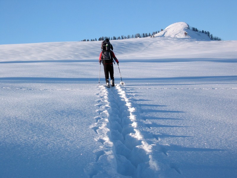 Auf der Postalm findet ihr viele Möglichkeiten für Skitouren, Schneeschuhwanderungen und Rodel-Abfahrten. Foto: Winterpark Postalm GmbH