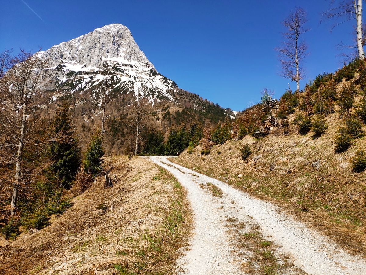 Wandern in den Ennstaler Alpen