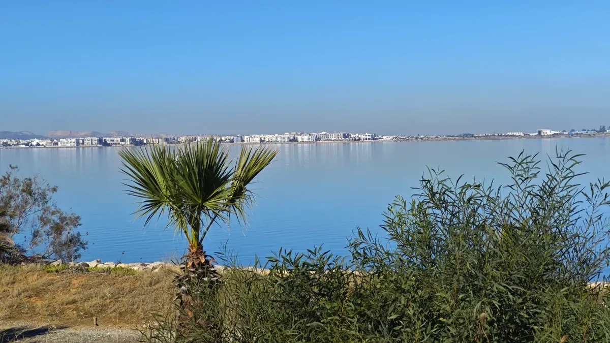 Tunis Marathon 2025 - Bild 3