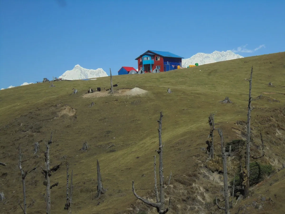 Himalayan 100 Miles Stage Race 2025: Singalila Ridge