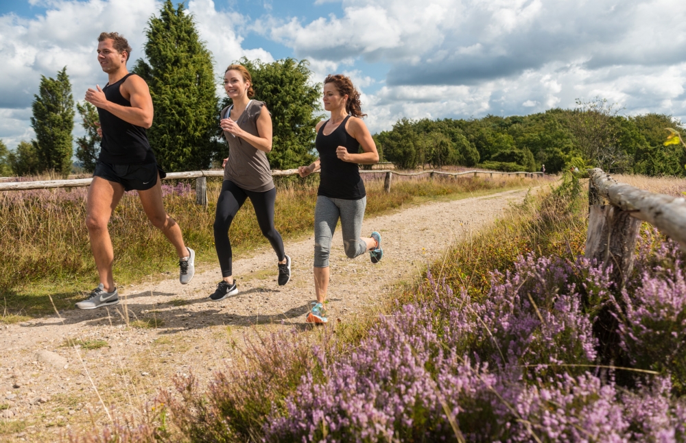 Lüneburger Heide-Staffellauf &amp; Ultra-Marathon