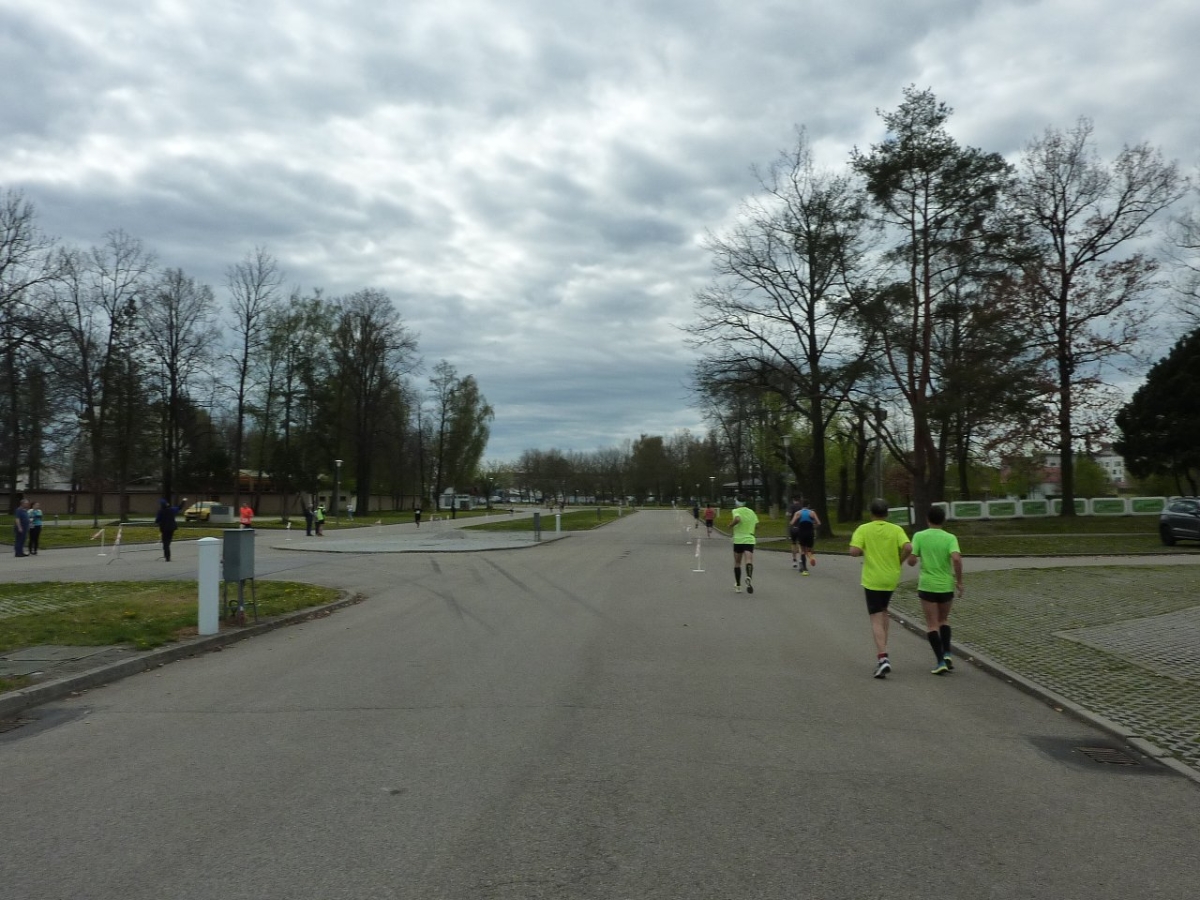Budějovice Marathon 2024: Rennen