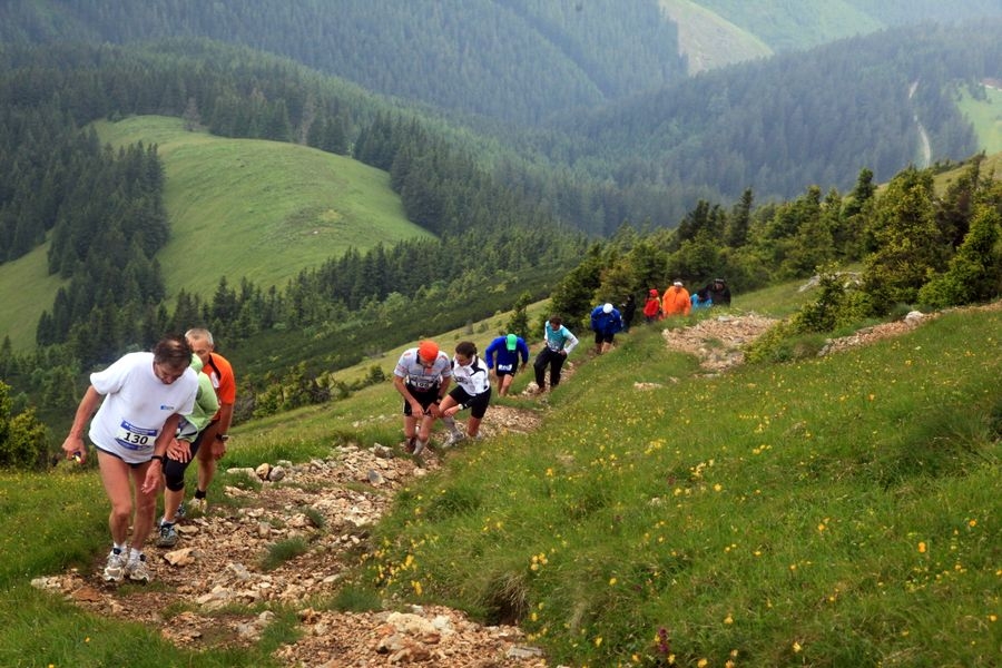 Der Hohe Veitsch Trailrun ist mehr als 50 km lang