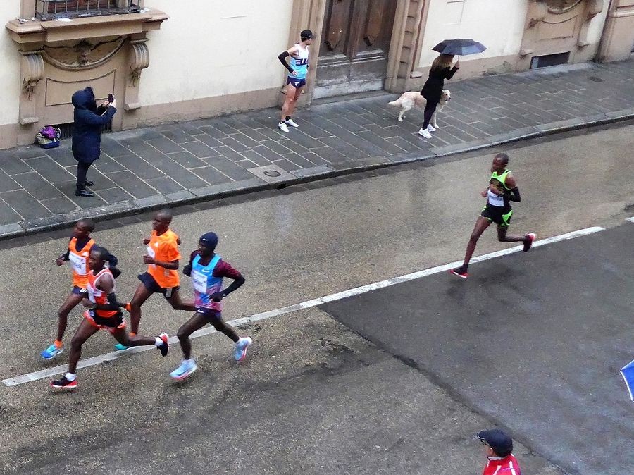 Firenze Marathon 30 1543563374