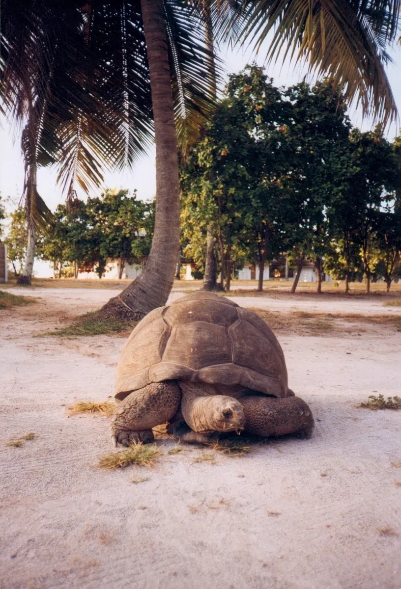 Seychellen: Esmeralda