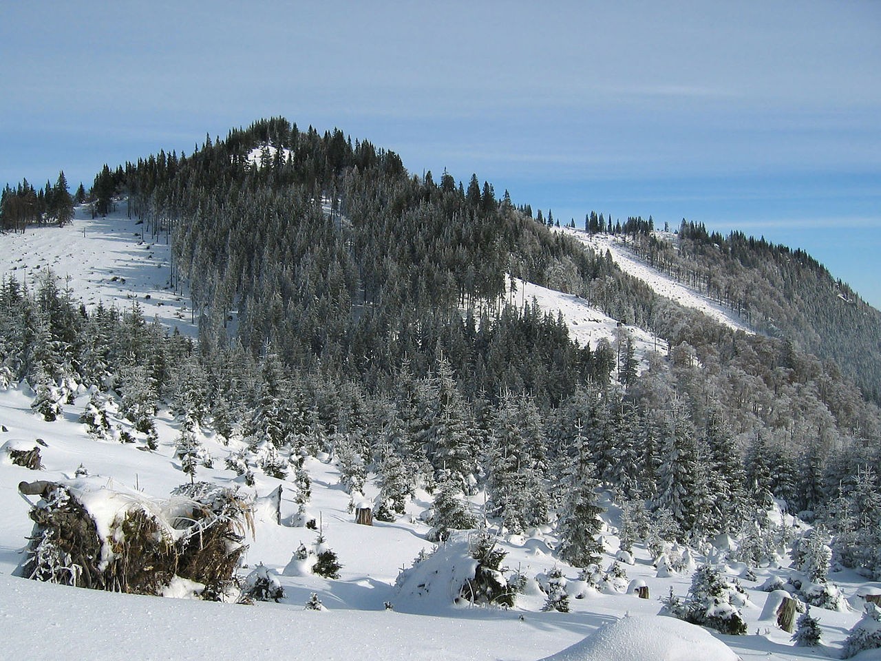 Die höchsten Berge in den Türnitzer Alpen